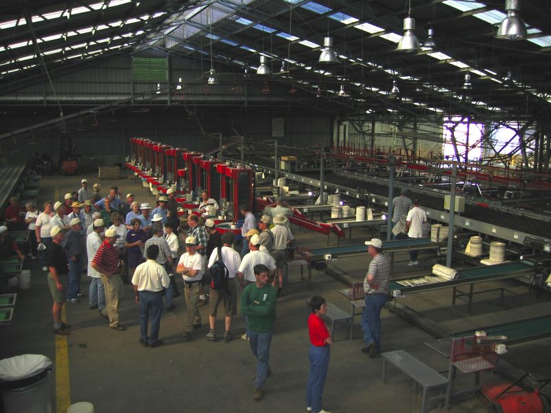 034_.chile.curico.copefrut.